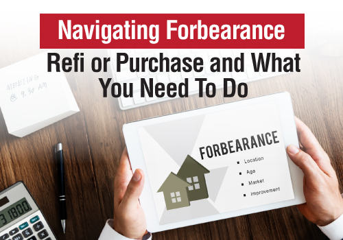 Navigating Forbearance - Refi or Purchase and What You Need To Do